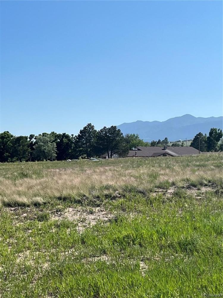 Currently Displayed Property Photo