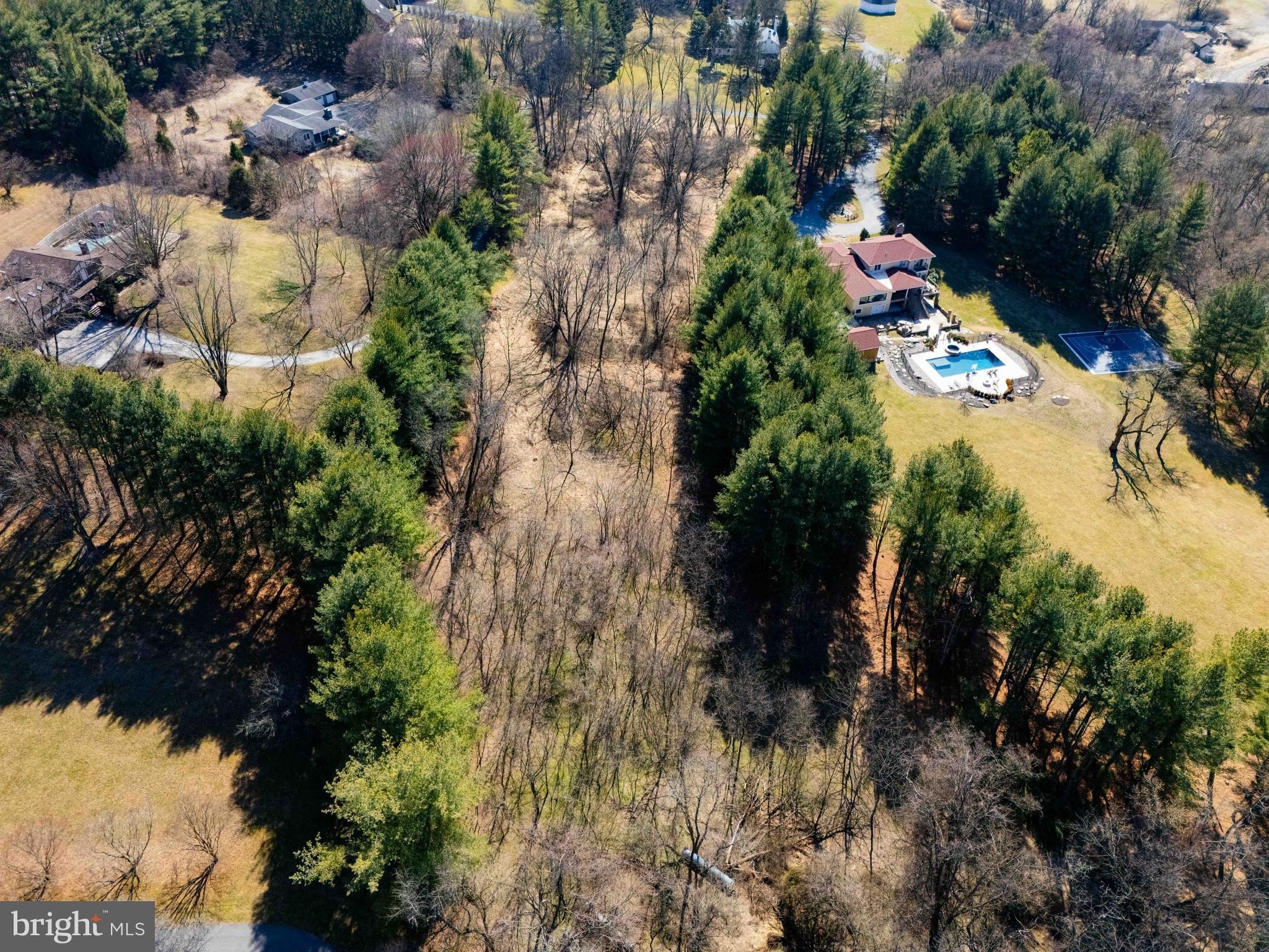 Currently Displayed Property Photo