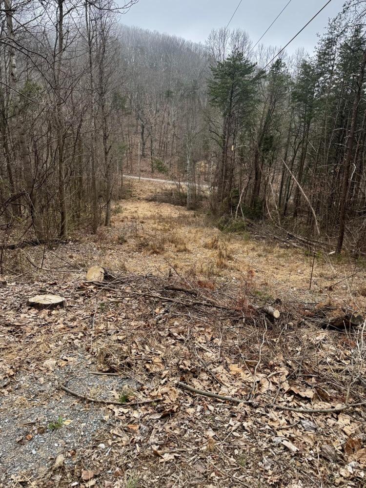 Currently Displayed Property Photo