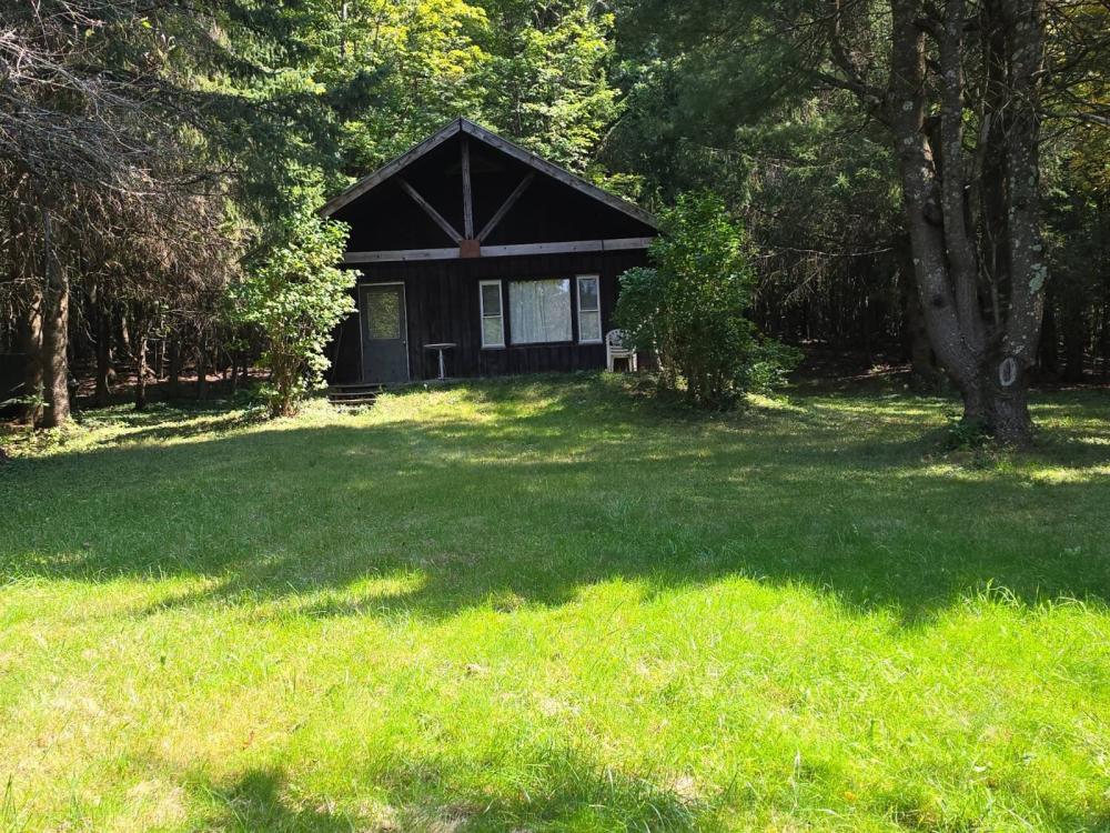Currently Displayed Property Photo