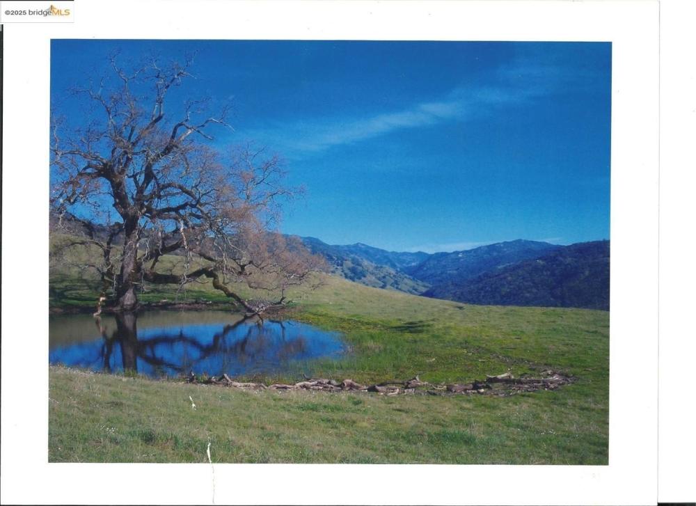 Currently Displayed Property Photo