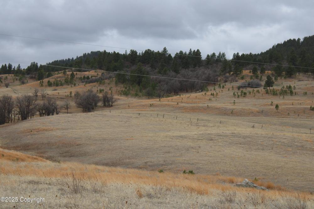 Currently Displayed Property Photo