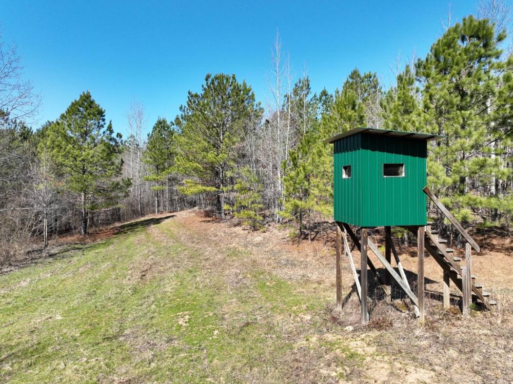 Currently Displayed Property Photo