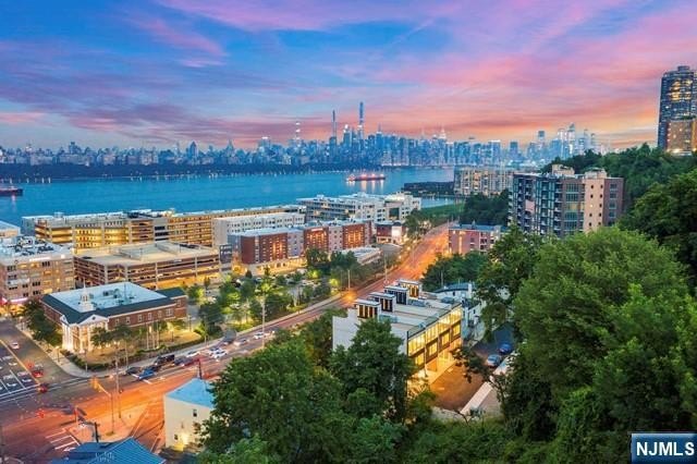 Currently Displayed Property Photo