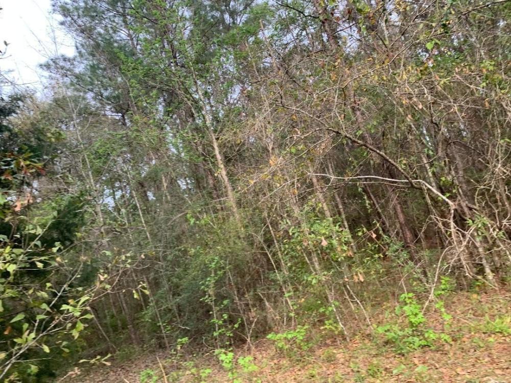 Currently Displayed Property Photo