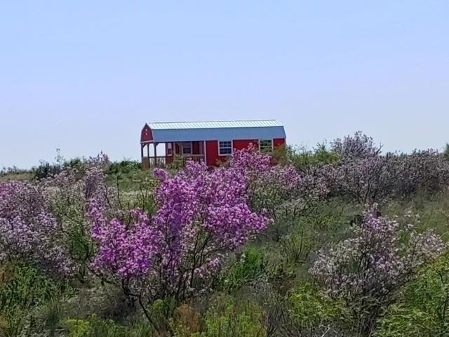 Currently Displayed Property Photo