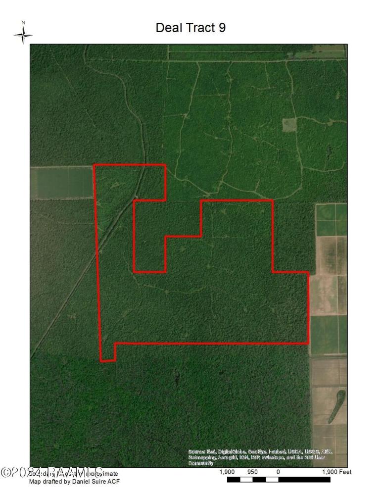 Currently Displayed Property Photo