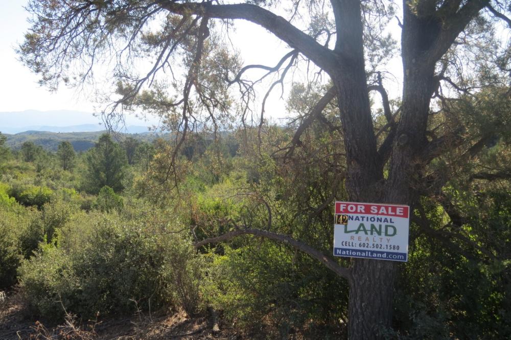 Currently Displayed Property Photo