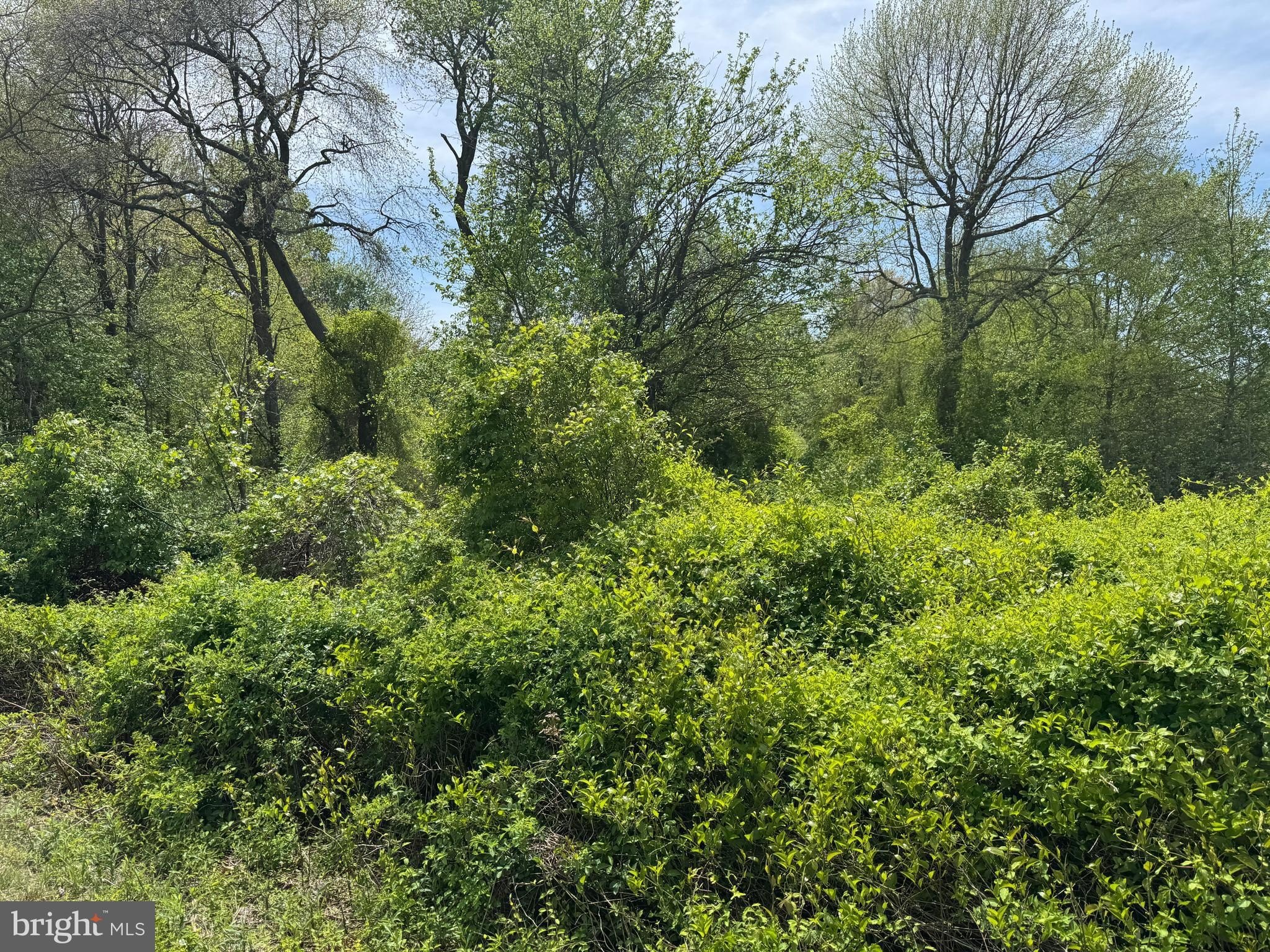 Currently Displayed Property Photo