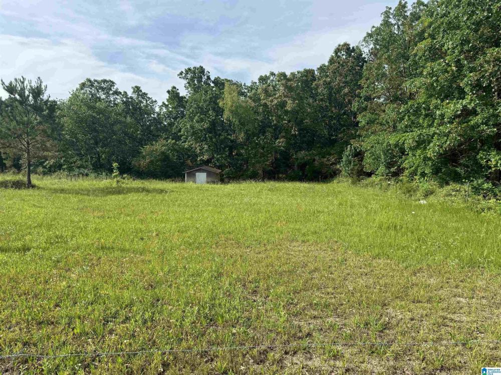 Currently Displayed Property Photo