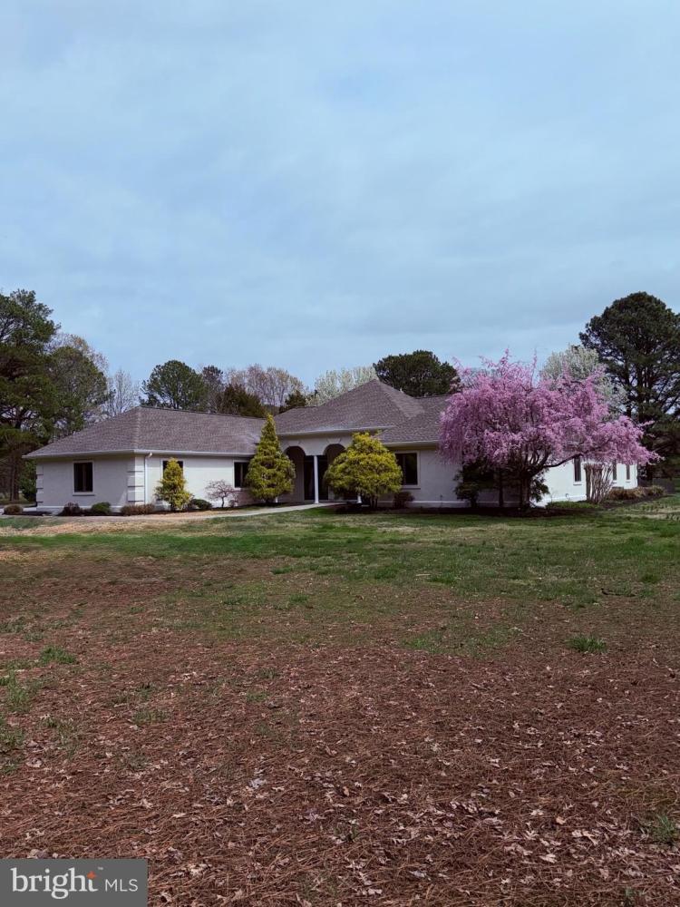 Currently Displayed Property Photo