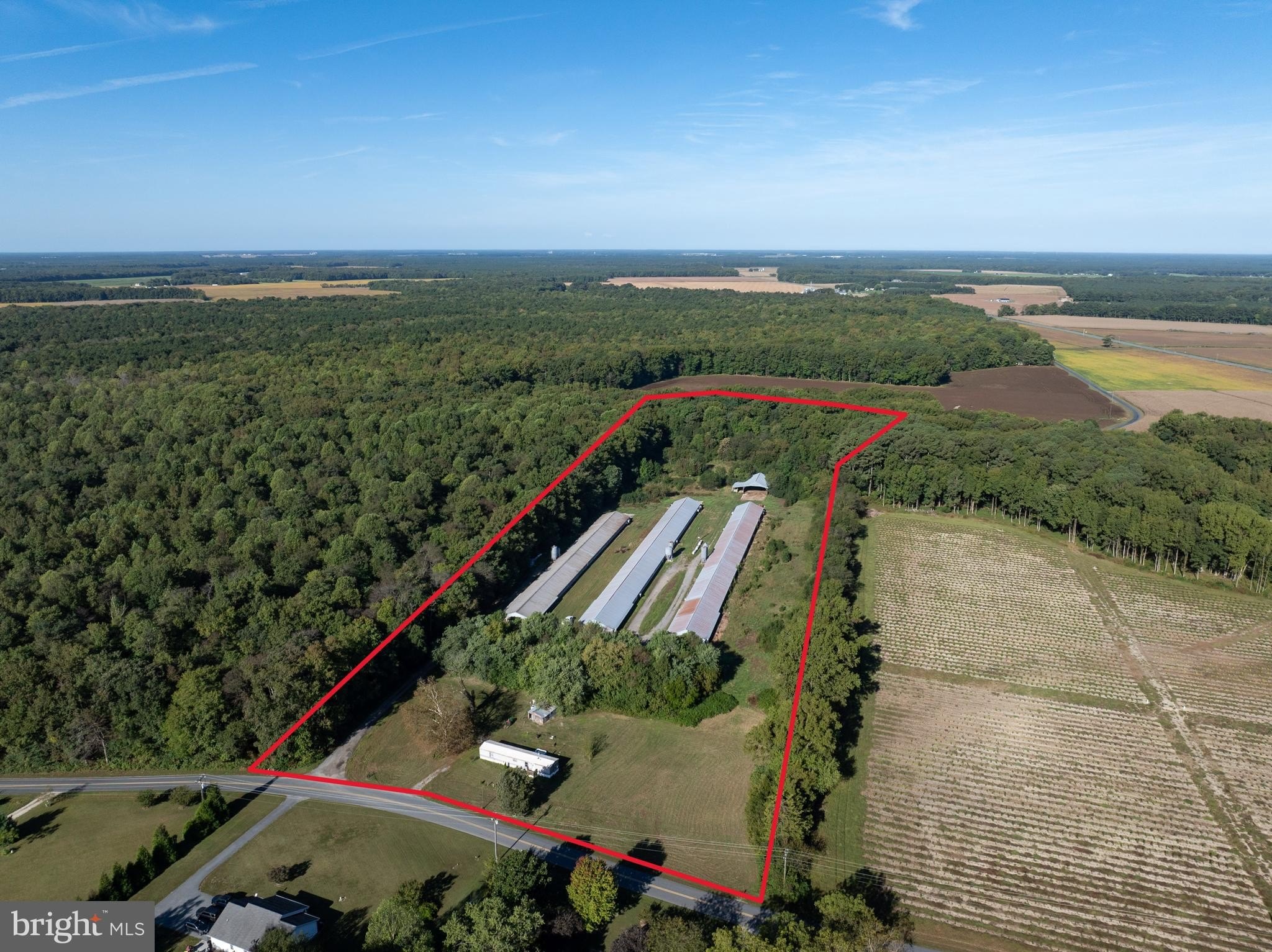 Currently Displayed Property Photo