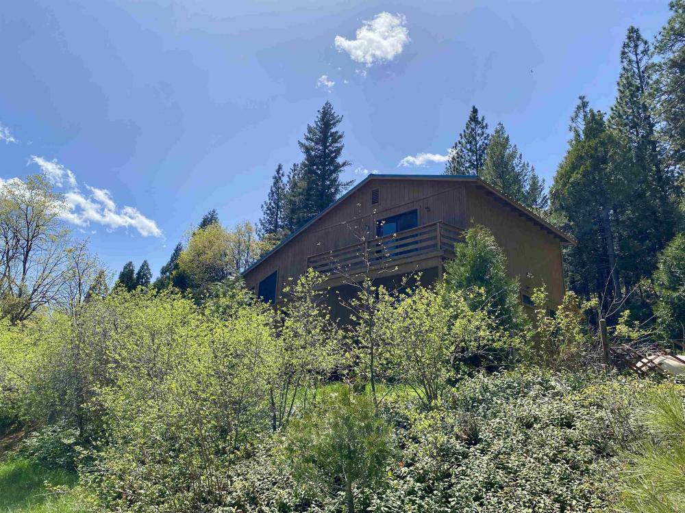 Currently Displayed Property Photo