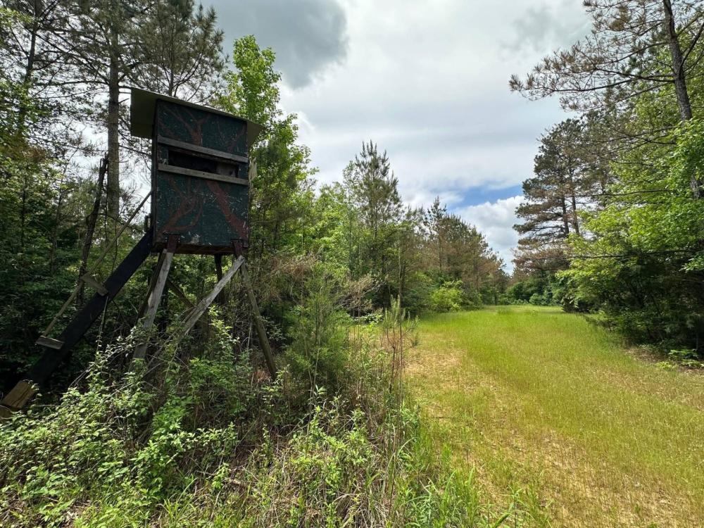 Currently Displayed Property Photo
