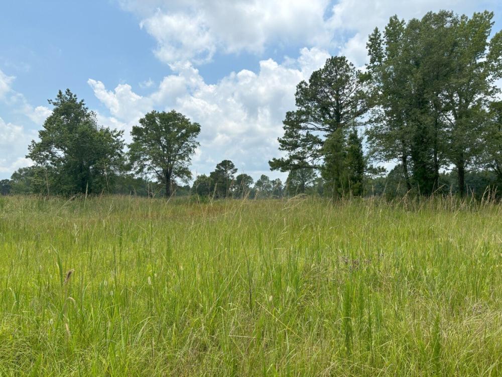 Currently Displayed Property Photo