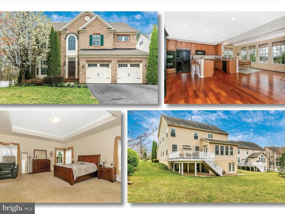 Currently Displayed Property Photo