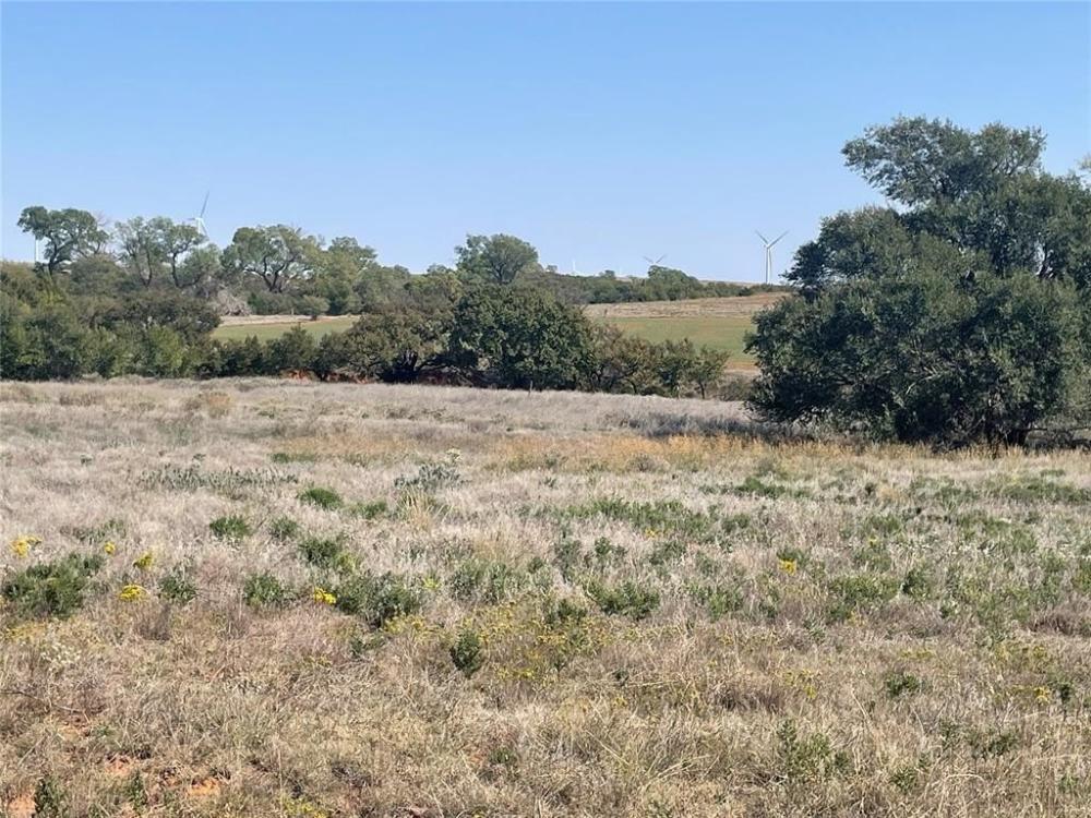 Currently Displayed Property Photo