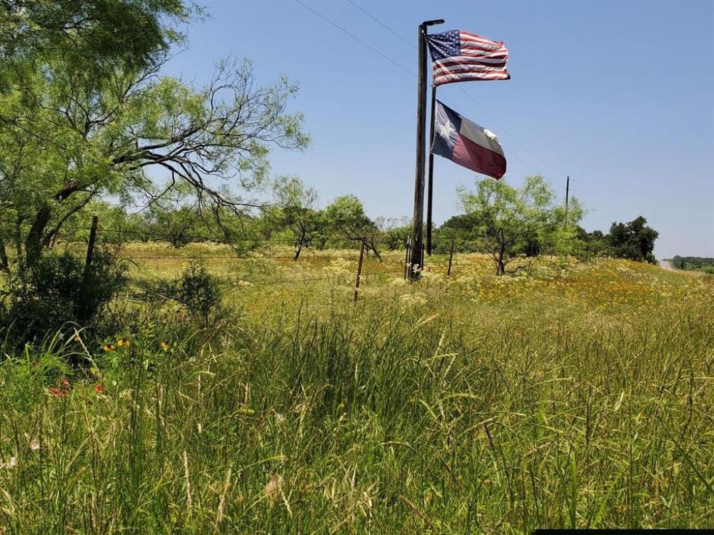 Currently Displayed Property Photo