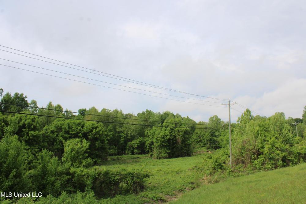 Currently Displayed Property Photo