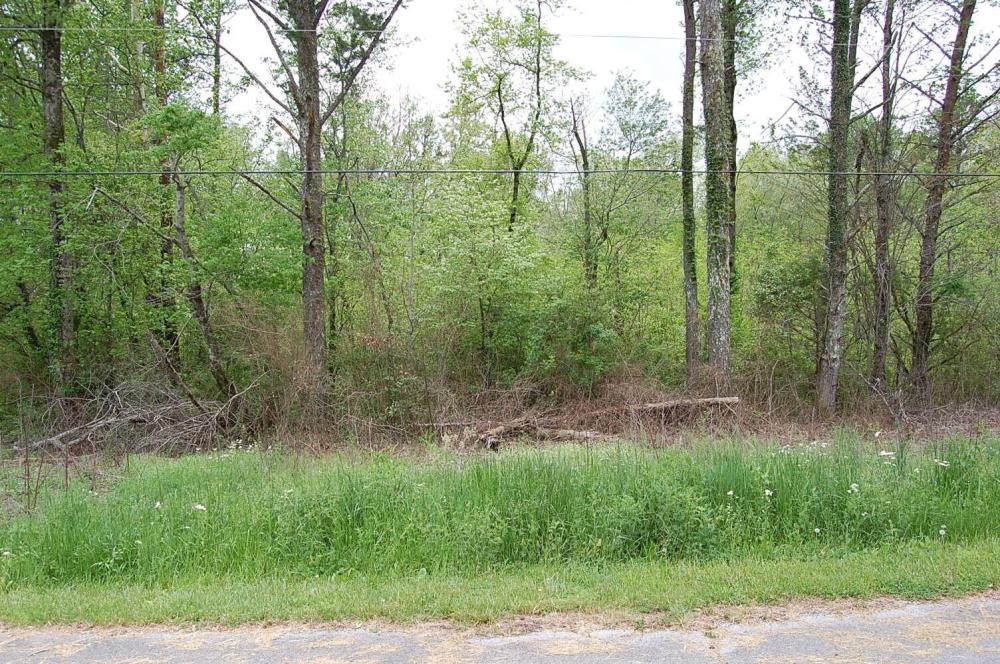 Currently Displayed Property Photo