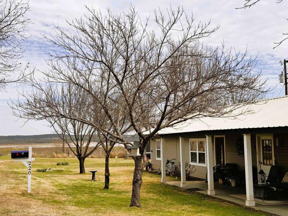 Currently Displayed Property Photo