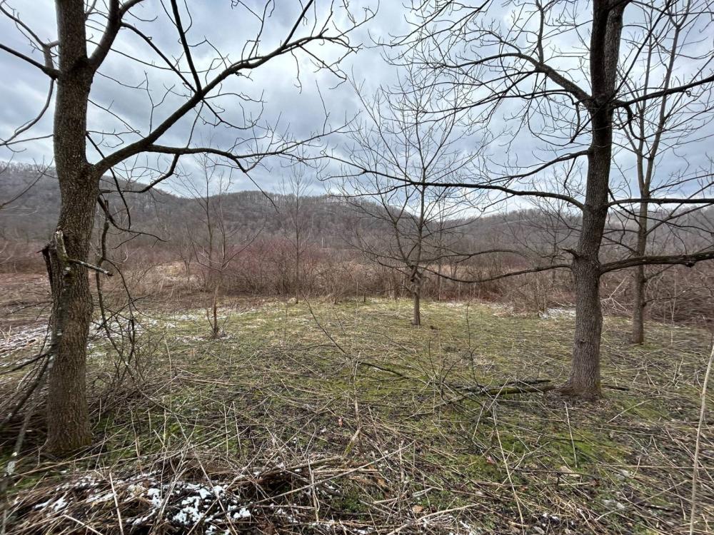 Currently Displayed Property Photo