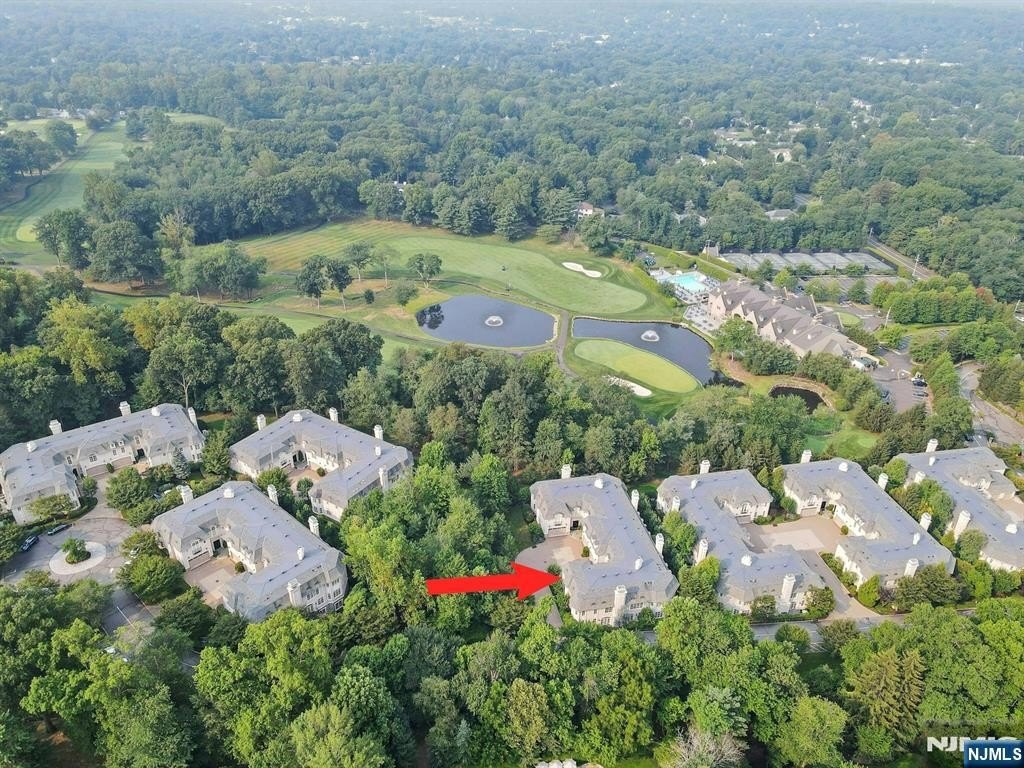 Currently Displayed Property Photo