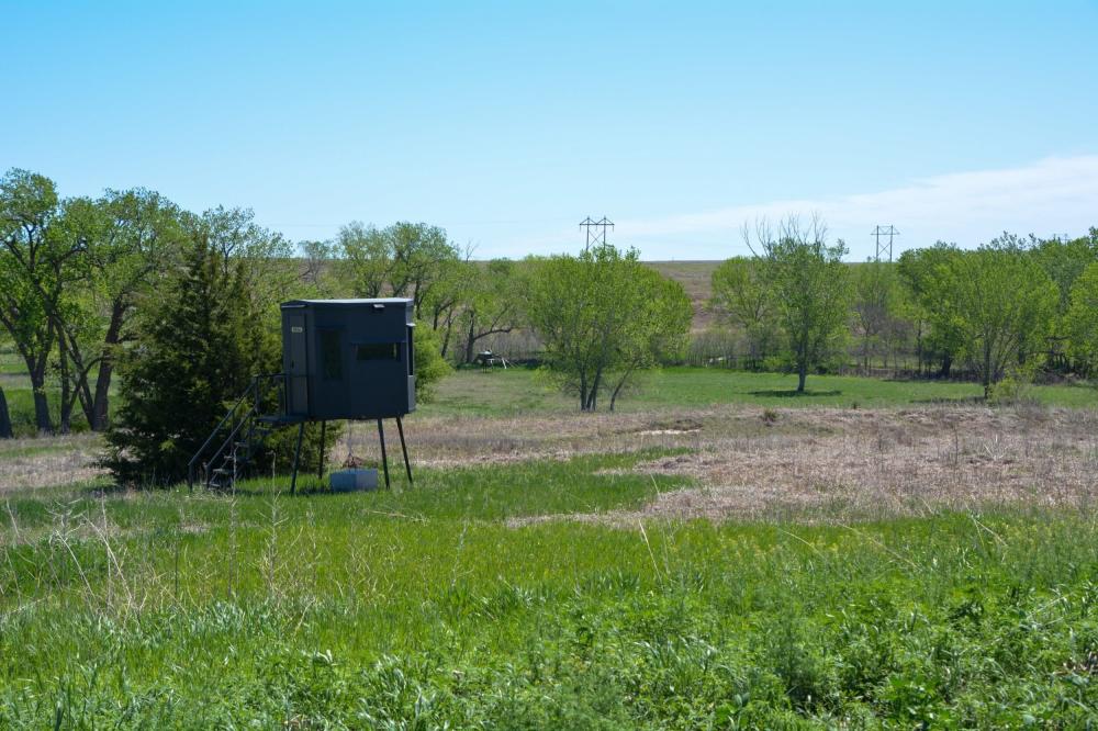 Currently Displayed Property Photo