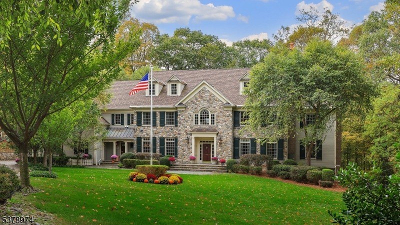 Currently Displayed Property Photo