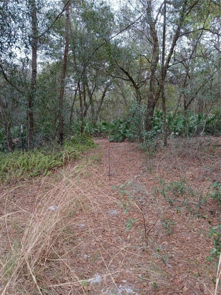 Currently Displayed Property Photo