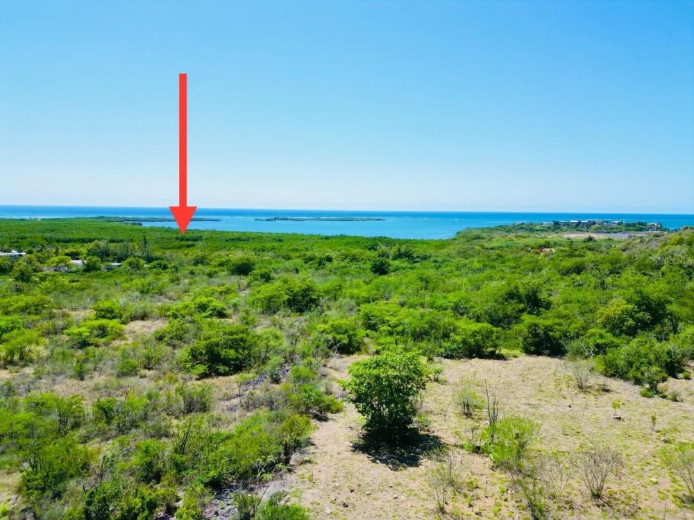 Currently Displayed Property Photo