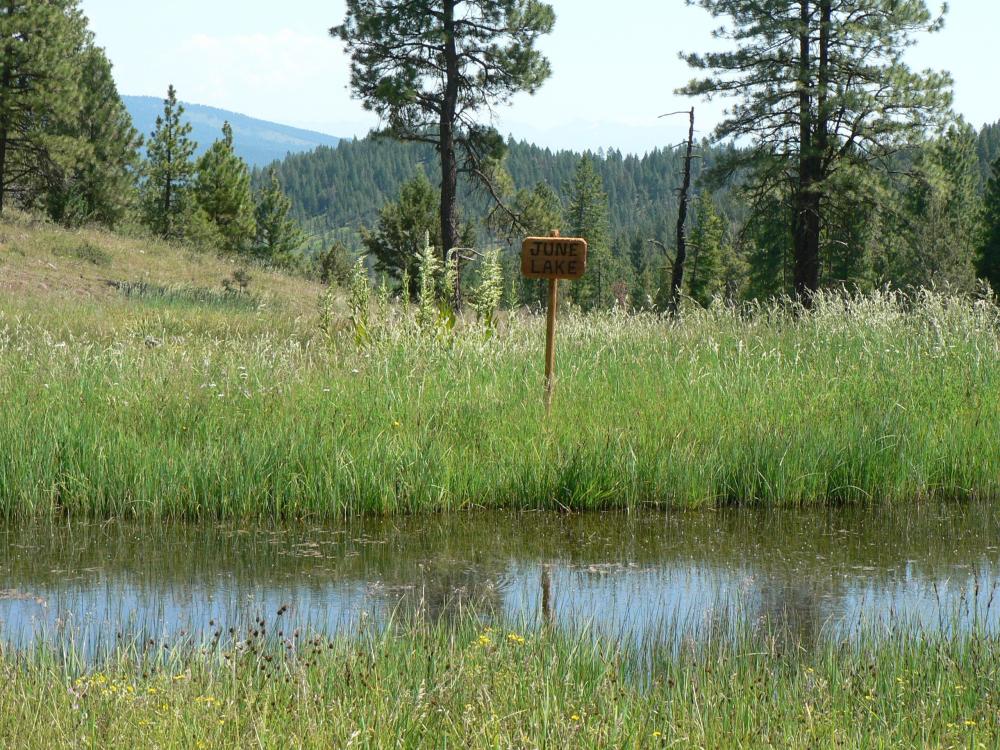 Currently Displayed Property Photo