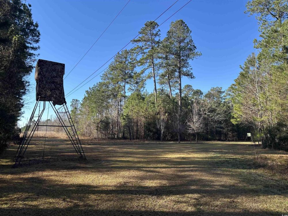 Currently Displayed Property Photo