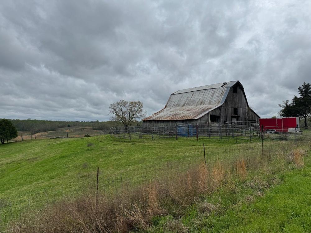 Currently Displayed Property Photo