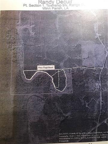 Currently Displayed Property Photo