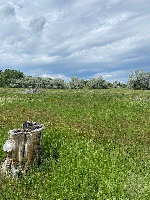 Currently Displayed Property Photo