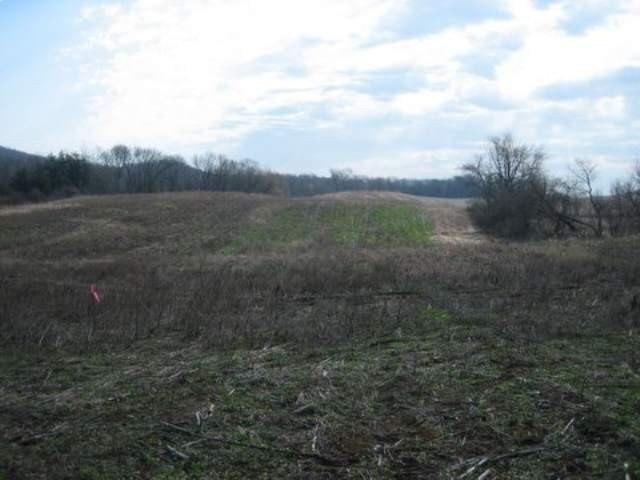 Currently Displayed Property Photo