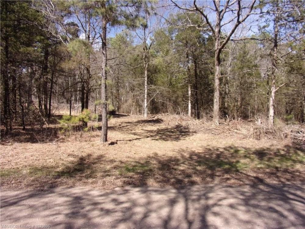 Currently Displayed Property Photo