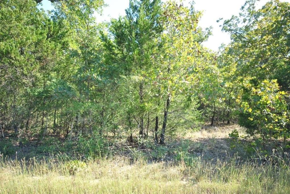 Currently Displayed Property Photo