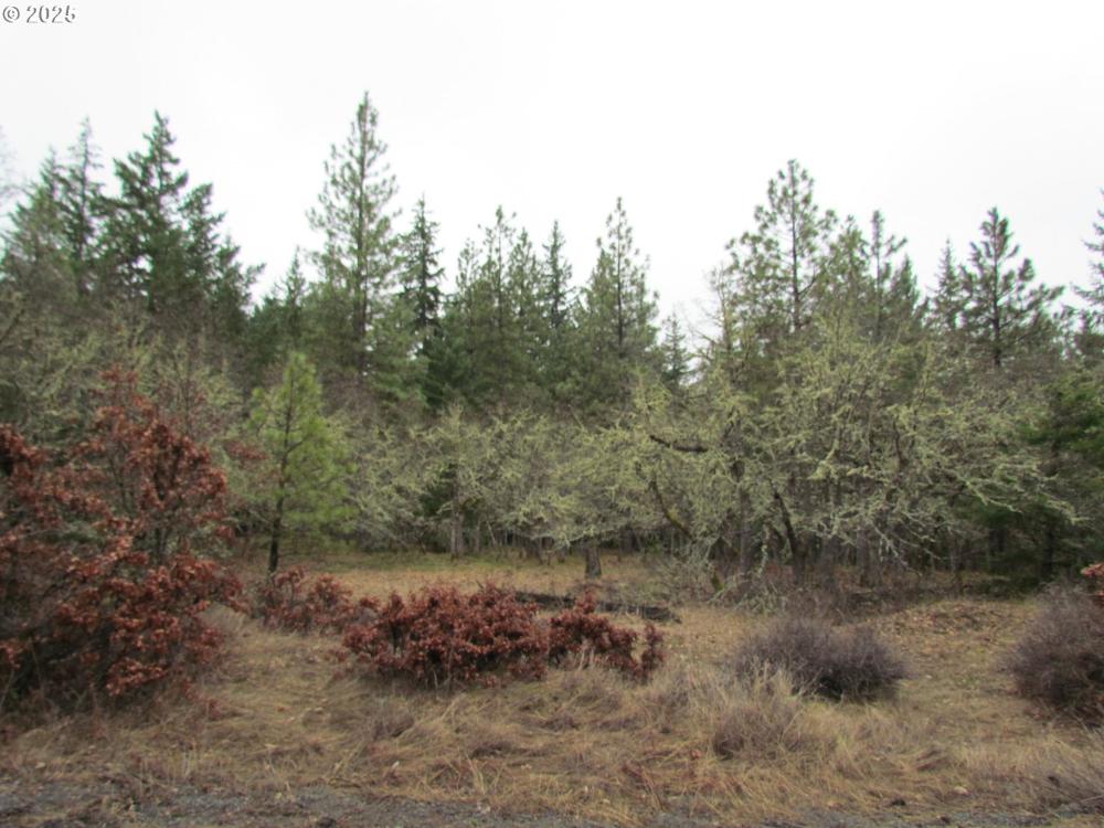 Currently Displayed Property Photo