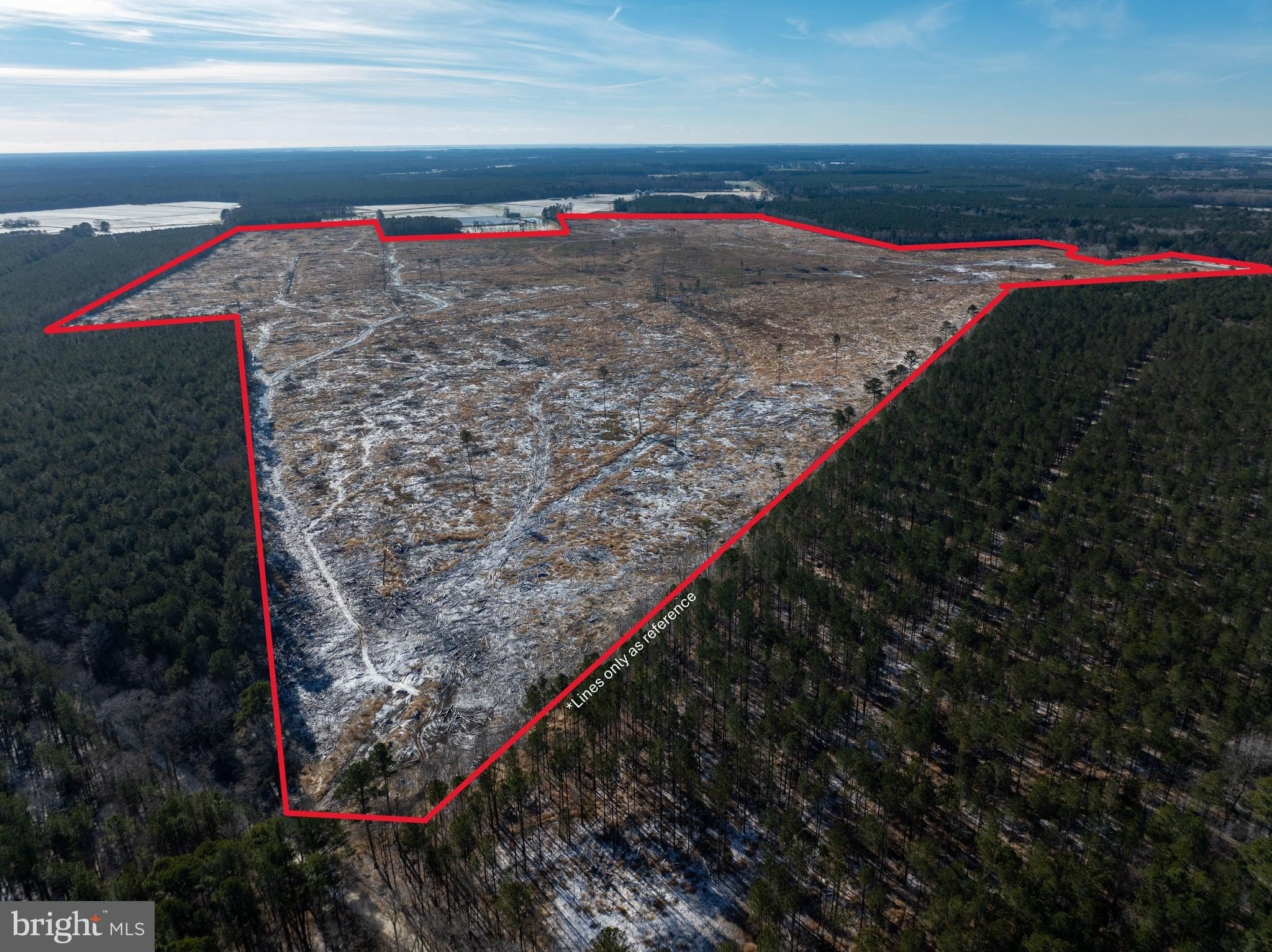 Currently Displayed Property Photo