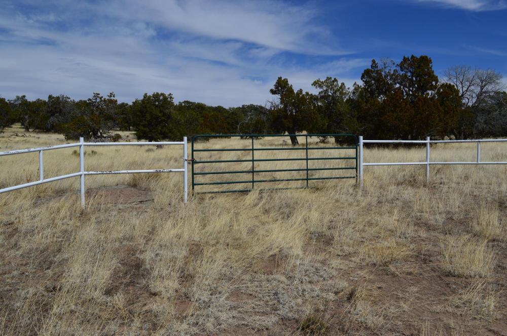 Currently Displayed Property Photo