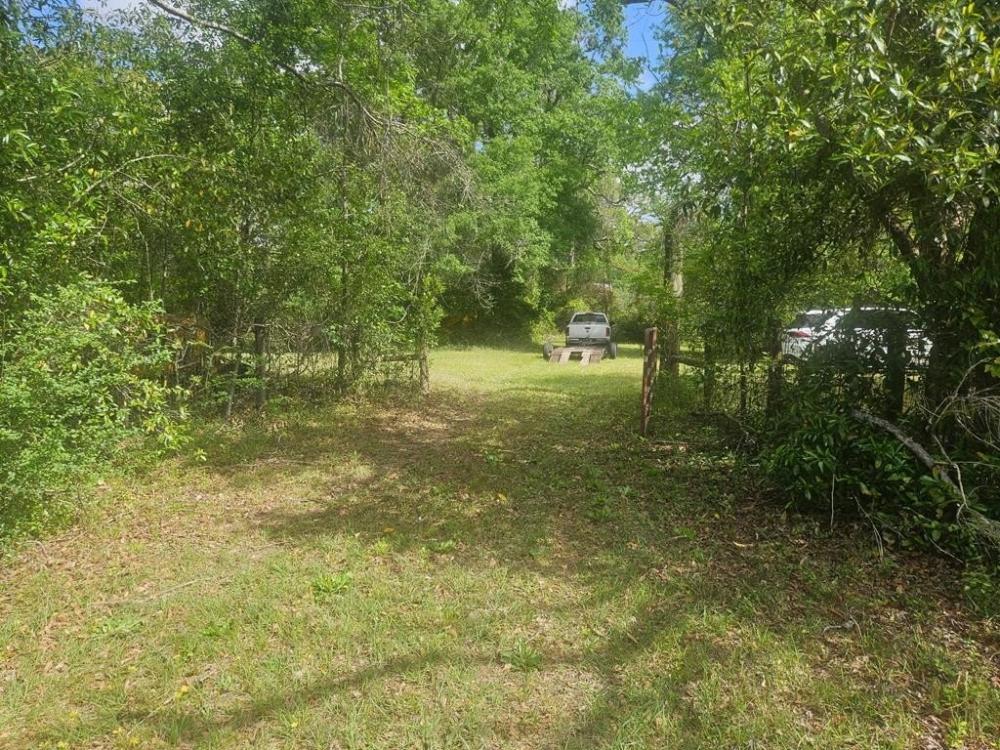 Currently Displayed Property Photo