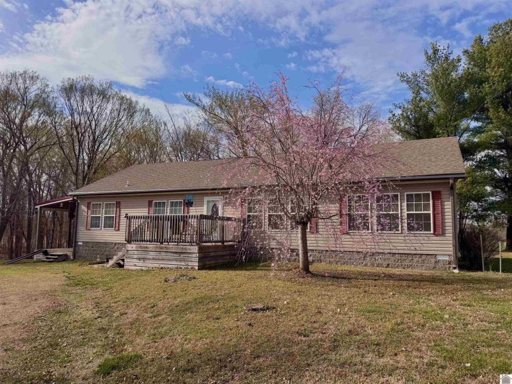 Currently Displayed Property Photo