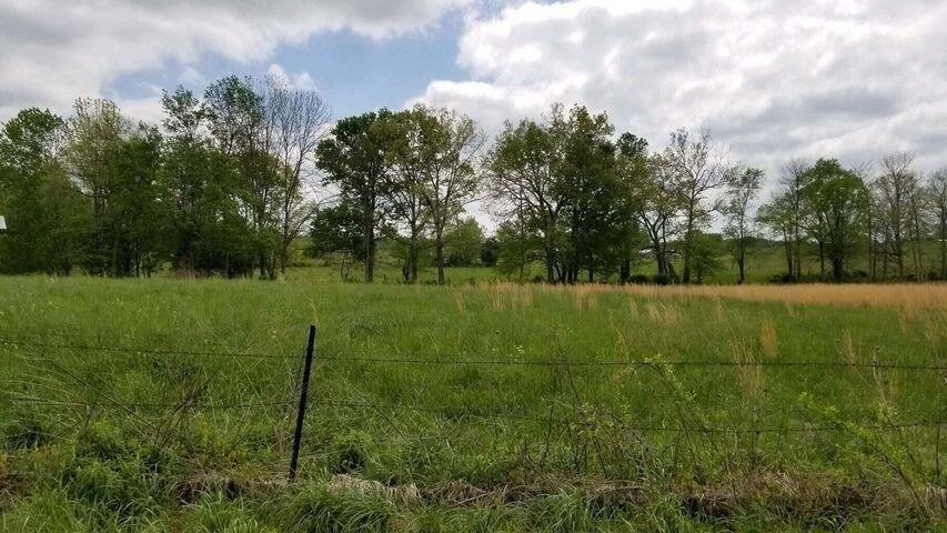 Currently Displayed Property Photo