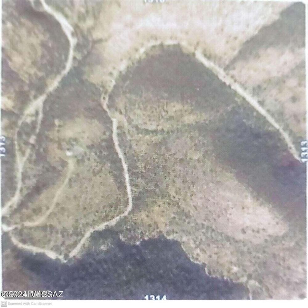 Currently Displayed Property Photo