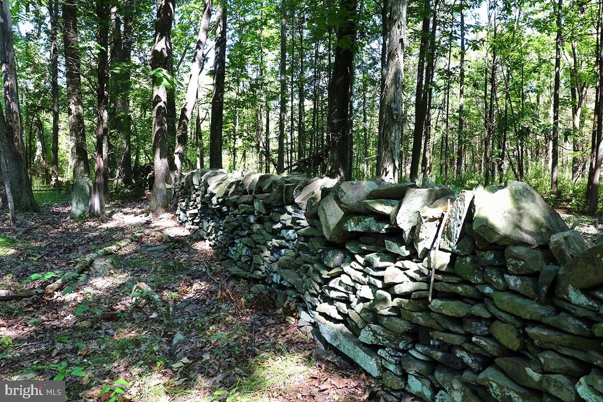 Currently Displayed Property Photo