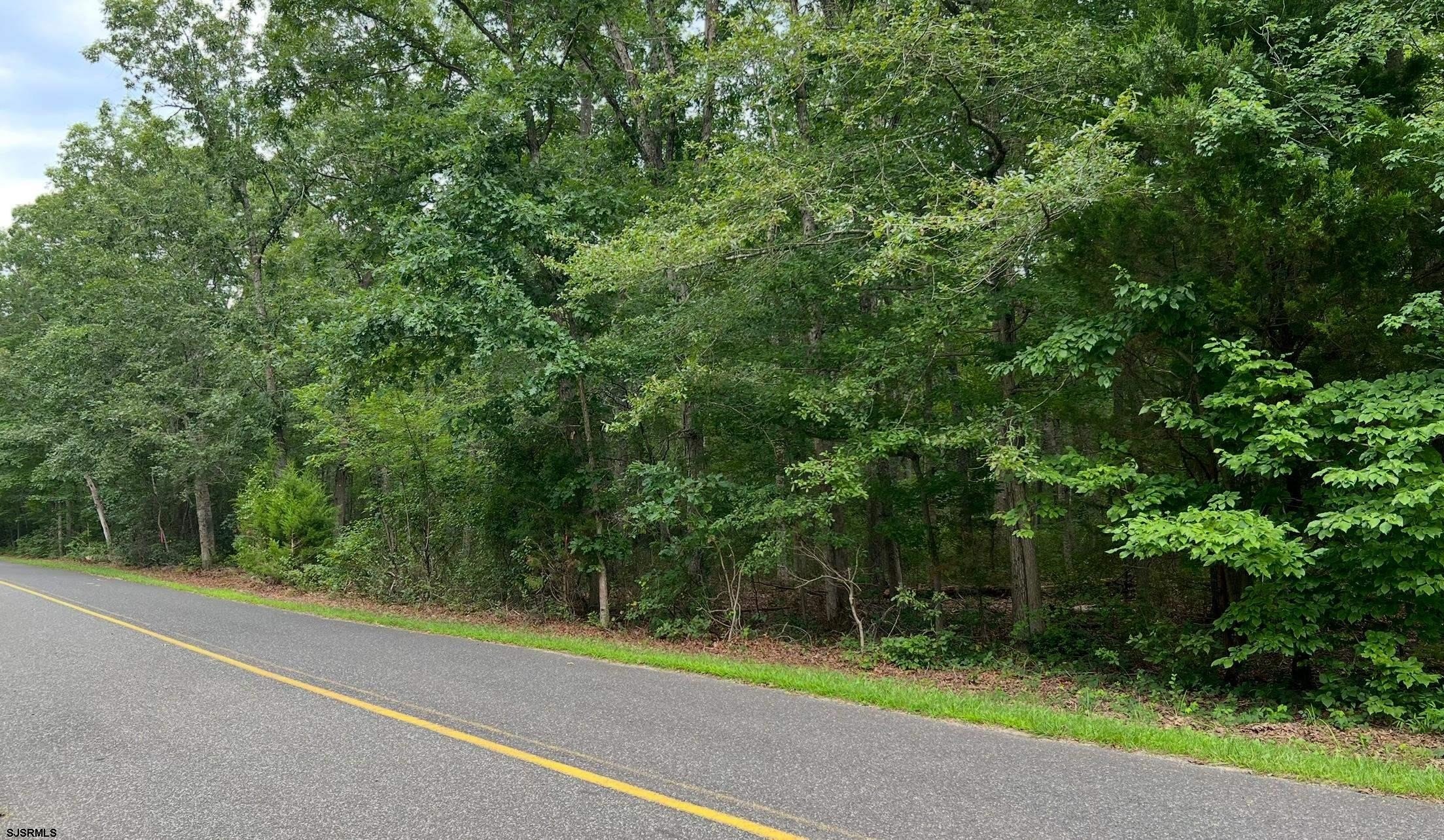 Currently Displayed Property Photo