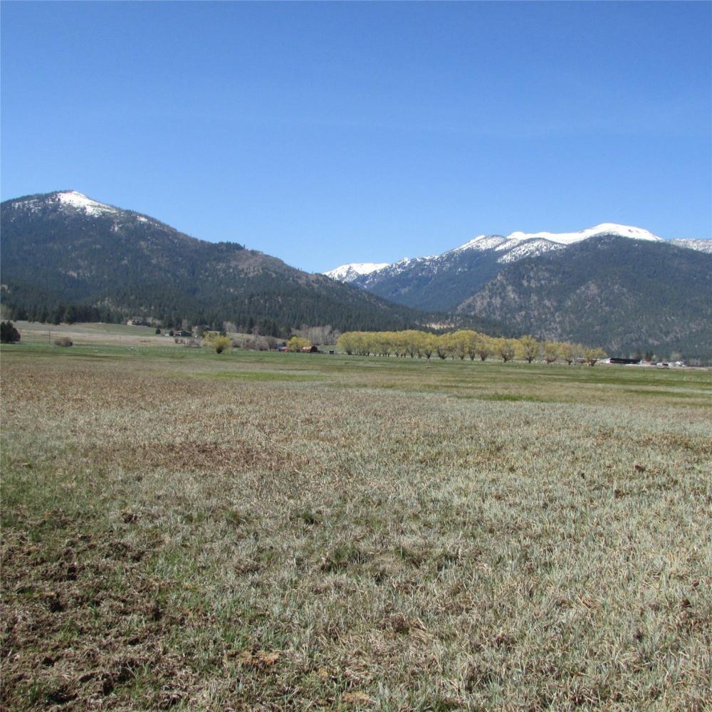 Currently Displayed Property Photo