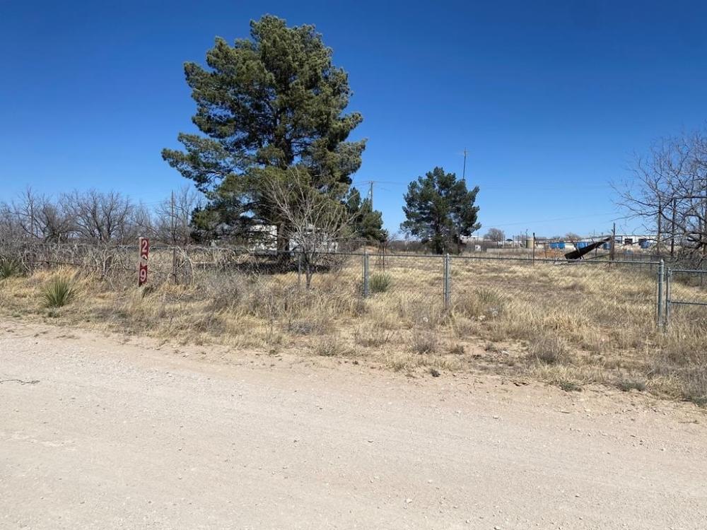 Currently Displayed Property Photo